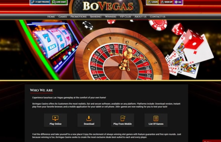 The best online casino BoVegas: the complete experience and opportunities for players 2